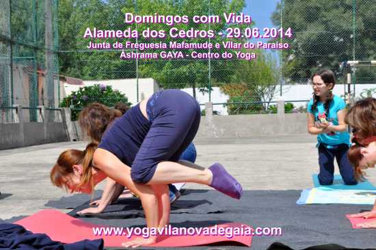 29.06.2014 - Yoga Gaia - Domingos com Vida- Alamenda Cedros - 2