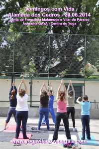 Domingos com Vida - 29.06.2014 - Alamenda Cedros