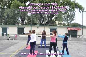 Domingos com Vida - 29.06.2014 - Alamenda Cedros - Yoga 3