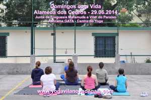 Domingos com Vida - 29.06.2014 - Alamenda Cedros - Yoga 4