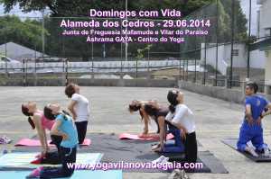 Domingos com Vida - 29.06.2014 - Alamenda Cedros - Yoga 7